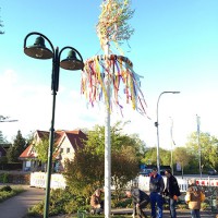 Die Nachbarschaft rund um den Dorfplatz stellt jedes Jahr einen Maibaum auf.