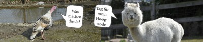 Tag für mein Hoogstede