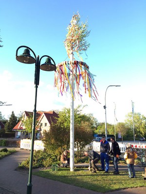 Die Nachbarschaft rund um den Dorfplatz stellt jedes Jahr einen Maibaum auf.